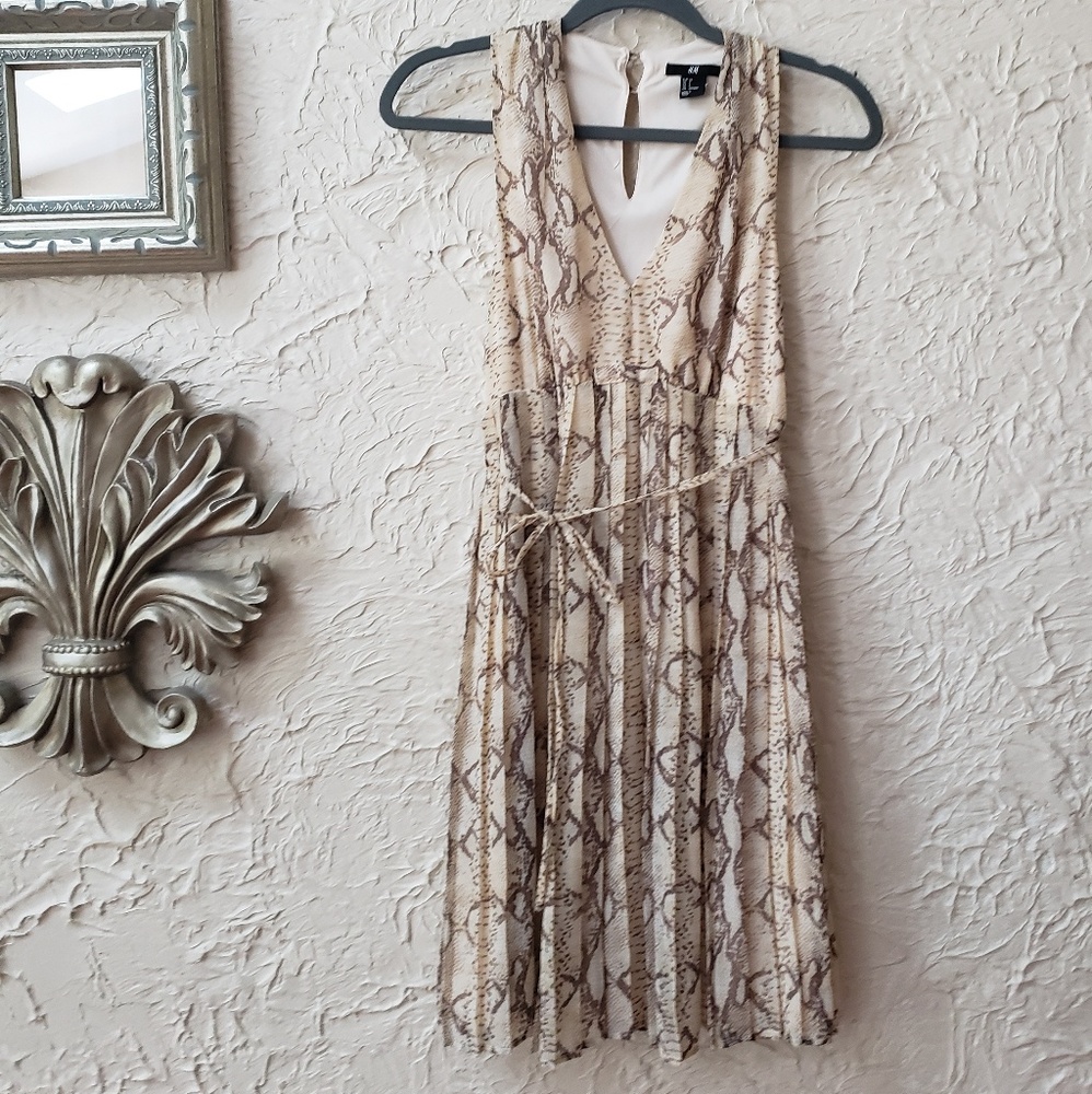 H&M Snakeprint Dress